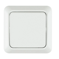 Выключатель 1-кл. ОП 10А TOKOV