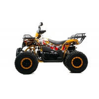Комплект пластика (п) VOX200 ALL ROAD X (баланс. вал)