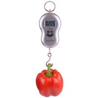 Безмен MAXTRONIC MAX-601 ручной до 40кг