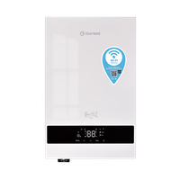 Котел электрический THERMEX настенный BOSS 12 Wi-Fi ( White)