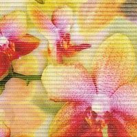 коврик из вспененого ПВХ 0,65*15м FV11