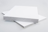 Сэндвич-панель ПВХ ЭП 3000*1500 32мм