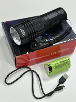 Фонарь LIGHTESS Т407-РМ10-TG