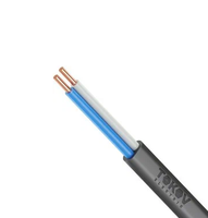 Кабель TOKOV ELECTRIC ВВГ-Пнг(А)-LS 2х10 ОК (N) 0.66кВ (м) УТ000028389