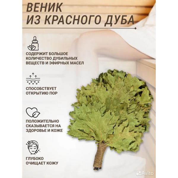 Веник красный дуб
